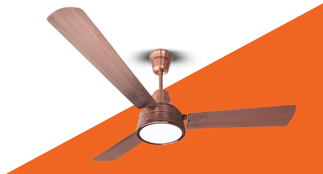 Fan