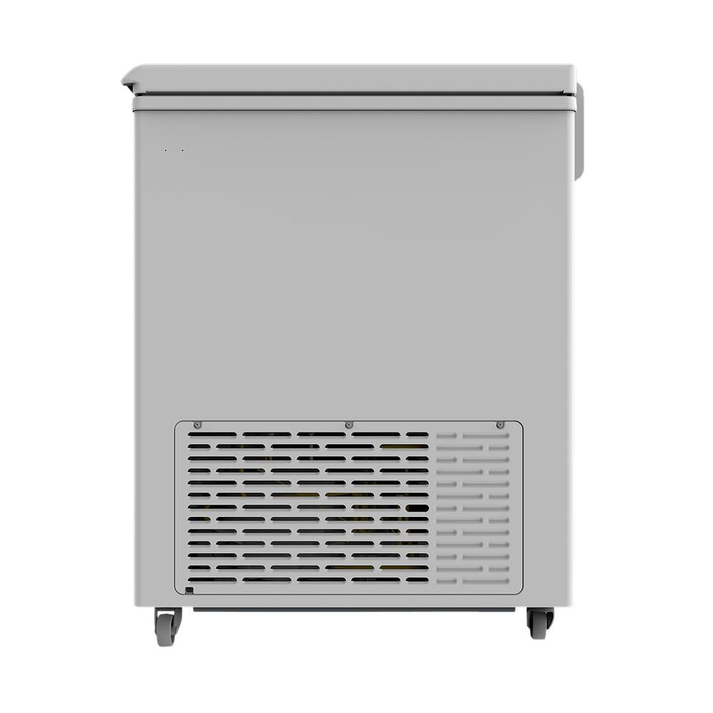 Blue Star CF330NEYW, 310 Ltrs Double Door Convertible Deep Freezer, White