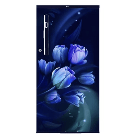 LG 185 Ltrs 1 Star, Inverter Direct Cool, Single Door Refrigerator (GL-B199OBTB)