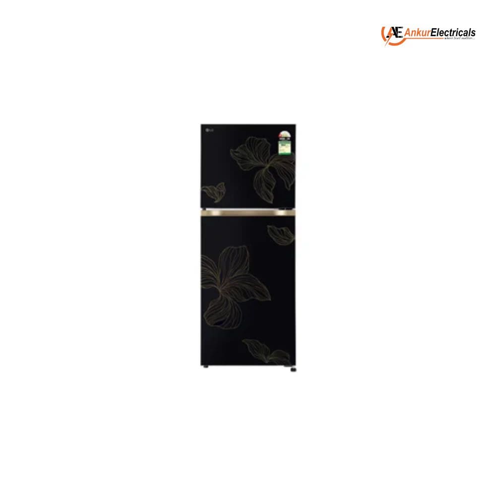 LG 225 Ltrs, 1 Star Frost Free Double Door Refrigerator (GLT2216WYRO.AROZEBN, Radiant Onyx)