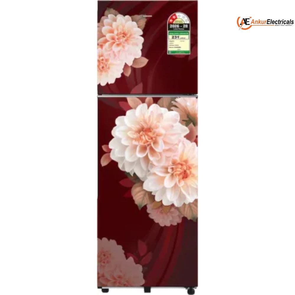 Samsung 256 Ltrs, 2 Star Digital Inverter Frost Free Double Door Refrigerator (RT40H30U2BR)