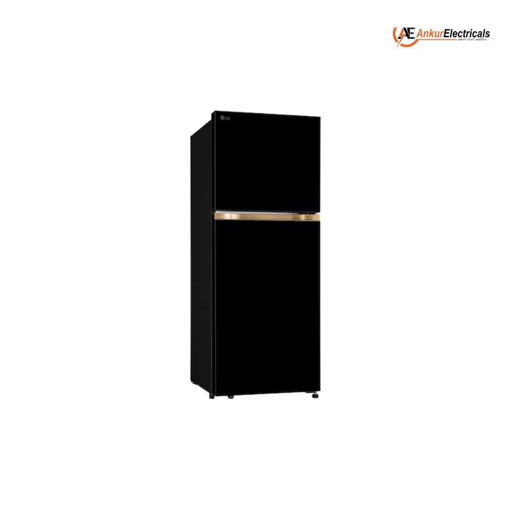 LG 225 Ltrs, 1 Star Auto Smart Inverter Double Door Refrigerator (GLT2216XZOB)