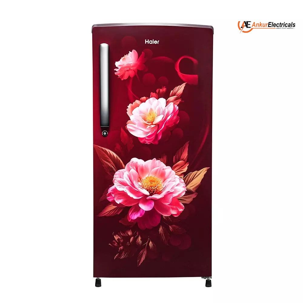 Haier 185 Ltrs, 1 Star Direct Cool Single Door Refrigerator (HRD 2061SRVA N)