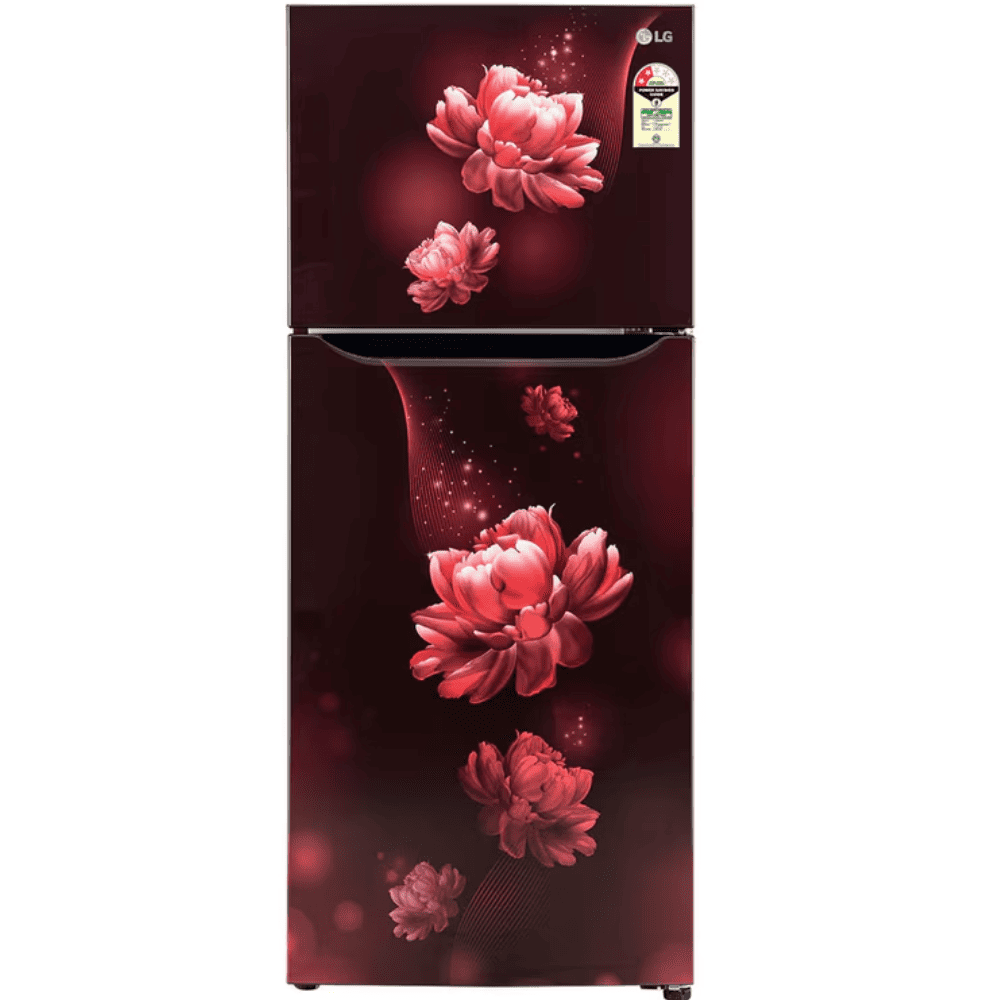 LG 242 Ltrs 2 Star, Inverter Frost Free, Double Door Refrigerator (GL-N292BSCY)