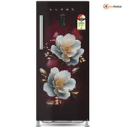 Lloyd 195 Ltrs, 3 Star Direct Cool Single Door Refrigerator (GLDG213DJWAI,Jade Wine)