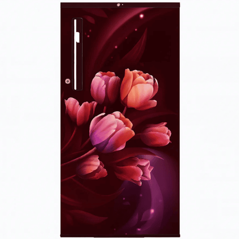 LG 185 Ltrs 1 Star, Inverter Direct Cool, Single Door Refrigerator (GL-B199OSTB)