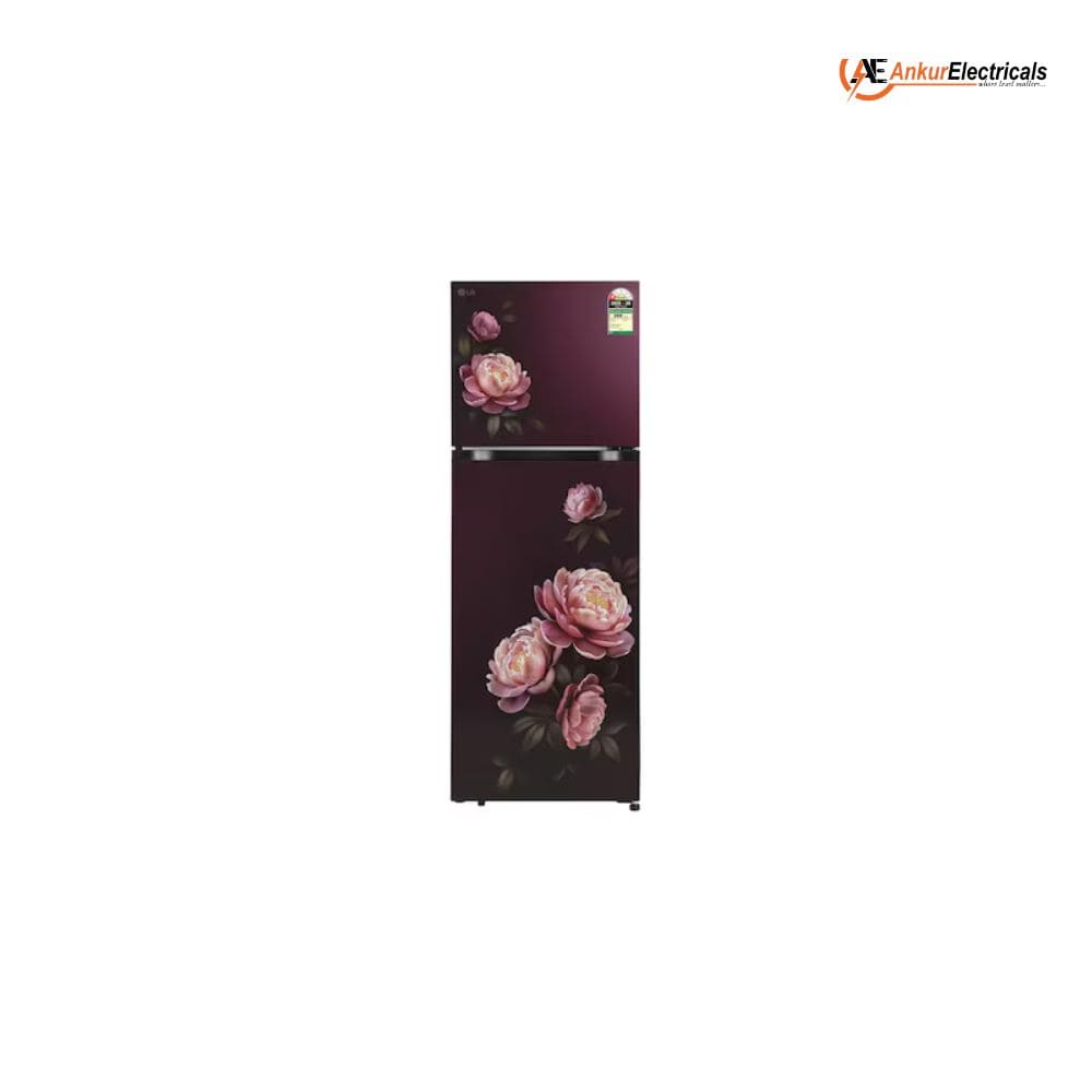 LG 251 Ltrs, 1 Star Frost Free Double Door Refrigerator (GLT2516WWRG, Wine Glory)