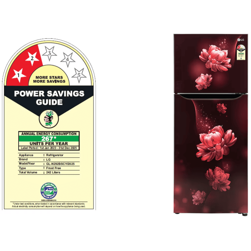 LG 242 Ltrs 2 Star, Inverter Frost Free, Double Door Refrigerator (GL-N292BSCY)