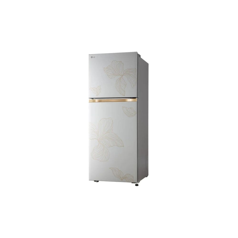 LG 225 Ltrs, 1 Star Auto Smart Inverter Double Door Refrigerator (GLT2216WYRI)