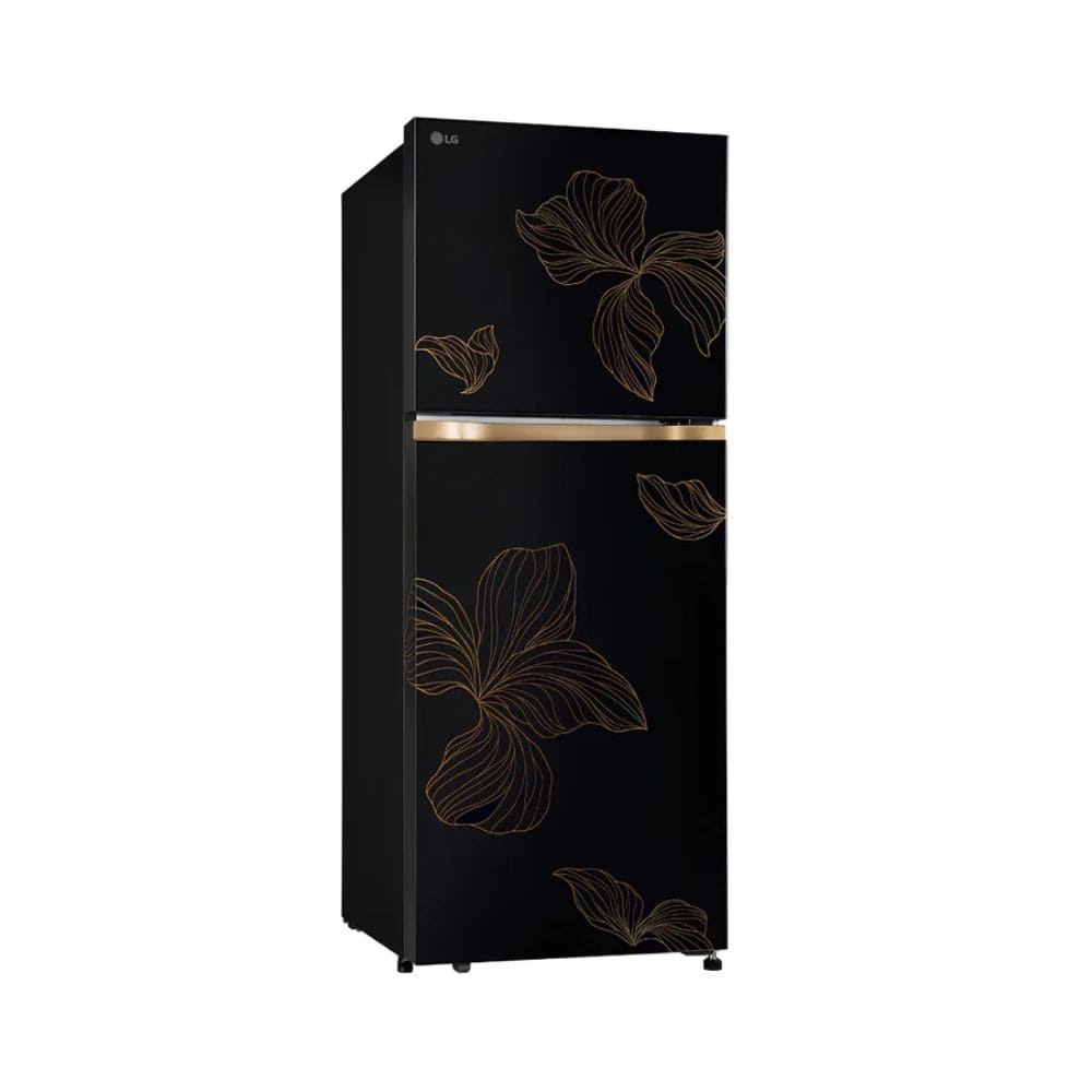 LG 225 Ltrs, 1 Star Frost Free Double Door Refrigerator (GLT2216WYRO.AROZEBN, Radiant Onyx)