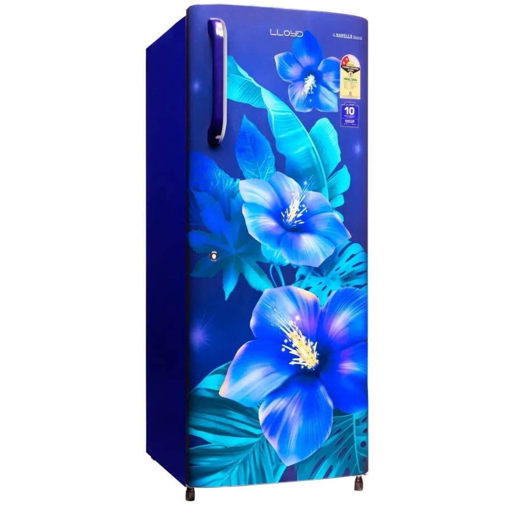 Lloyd 215Ltrs 2 Star, Inverter Direct Cool, Single Door Refrigerator (GLDC242GTBT2JC)