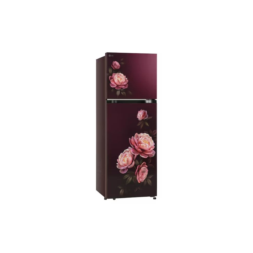 LG 251 Ltrs, 1 Star Frost Free Double Door Refrigerator (GLT2516WWRG, Wine Glory)