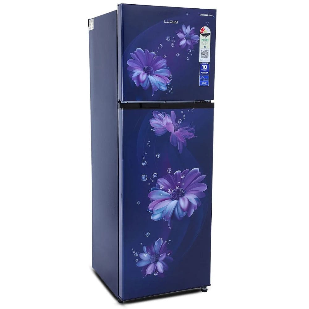 Lloyd 240 Ltrs 2 Star, Inverter Frost Free, Double Door Refrigerator (GLFF272ADBT1GC)