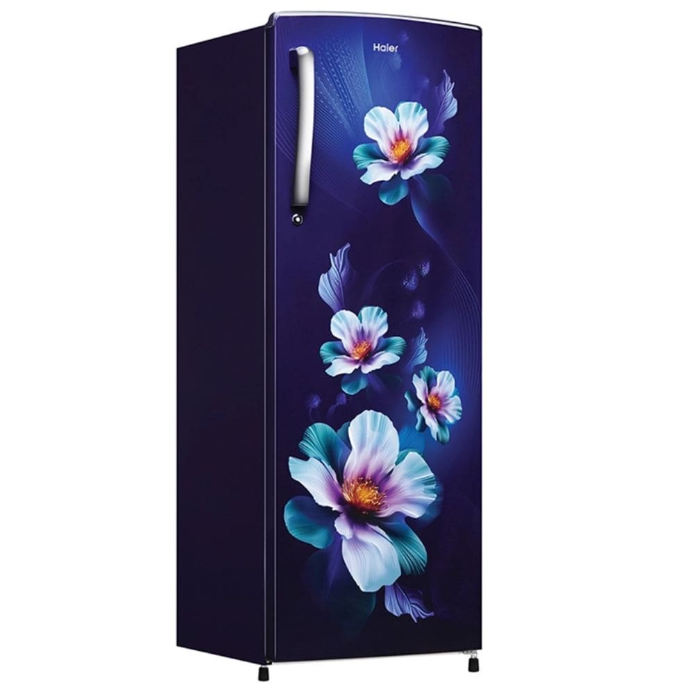 Haier 235 Ltrs 2 Star, Inverter Direct Cool, Single Door Refrigerator (HRD-2562CMK-N)