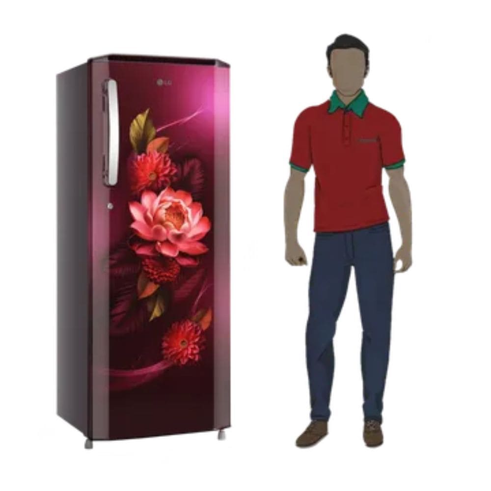 LG 261 Ltrs, 3 Star Direct Cool Single Door Refrigerator (GLD2736YBRW)