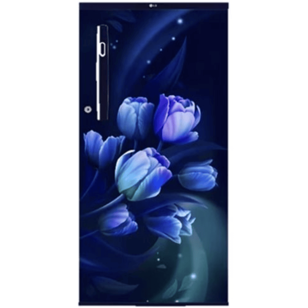 LG 185 Ltrs 1 Star, Inverter Direct Cool, Single Door Refrigerator (GL-B199OBTB)