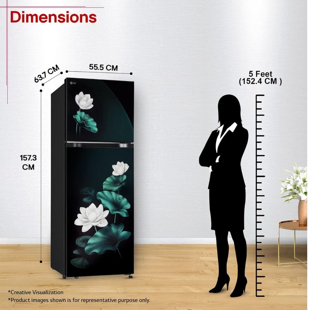 LG 251 Ltrs, 1 Star Frost Free Double Door Refrigerator (GLT2526XWEL)