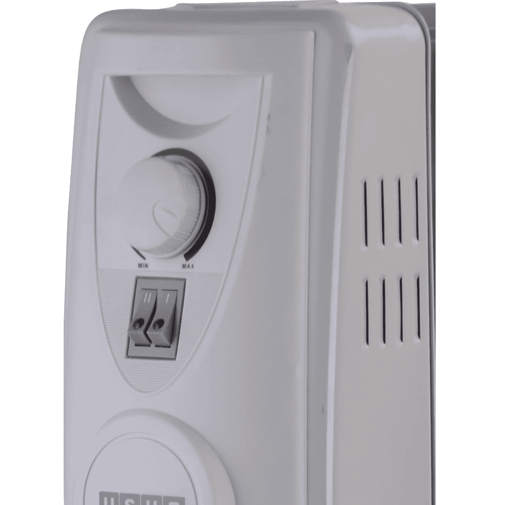 Usha 11 Straight Fins 2900 Watts Oil Filled Radiators with PTC Fan Room Heater (4211f, Silver)