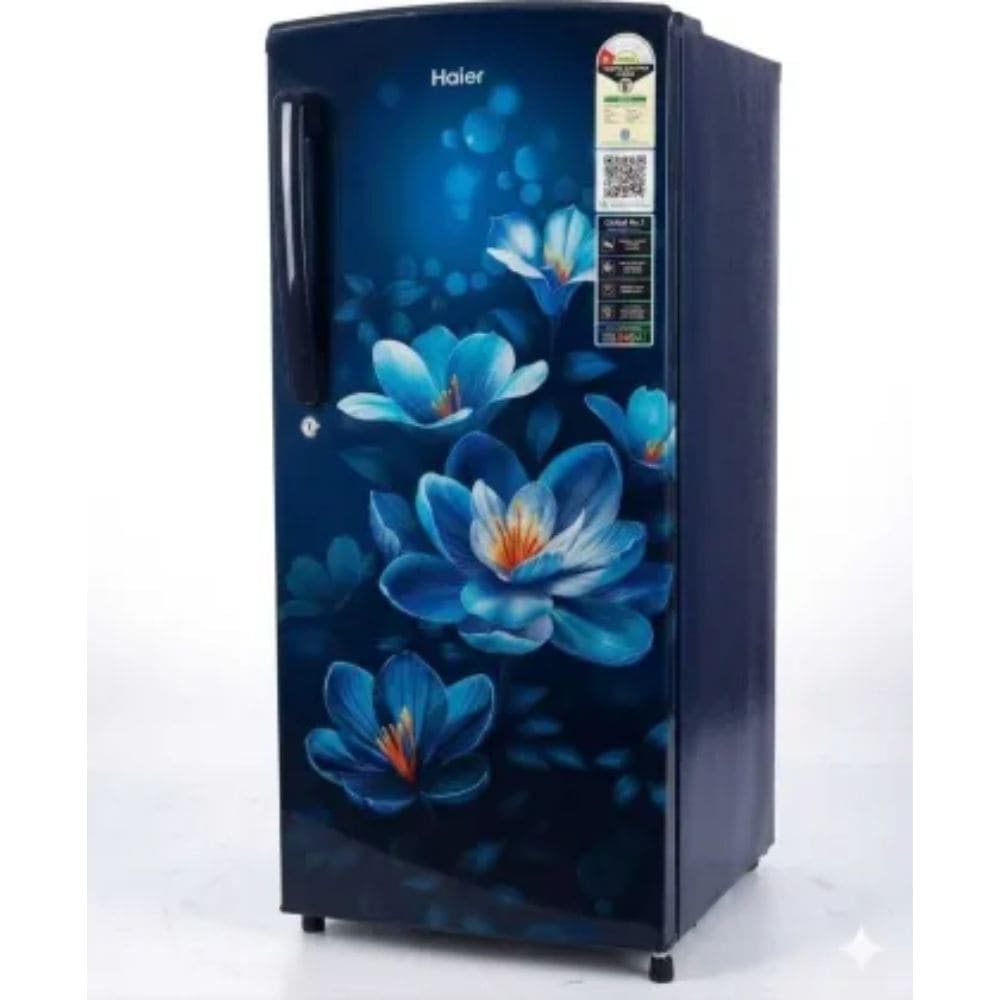 Haier 205 Ltrs, 1 Star Direct Cool Single Door Refrigerator (HRD 2261SMMA N)