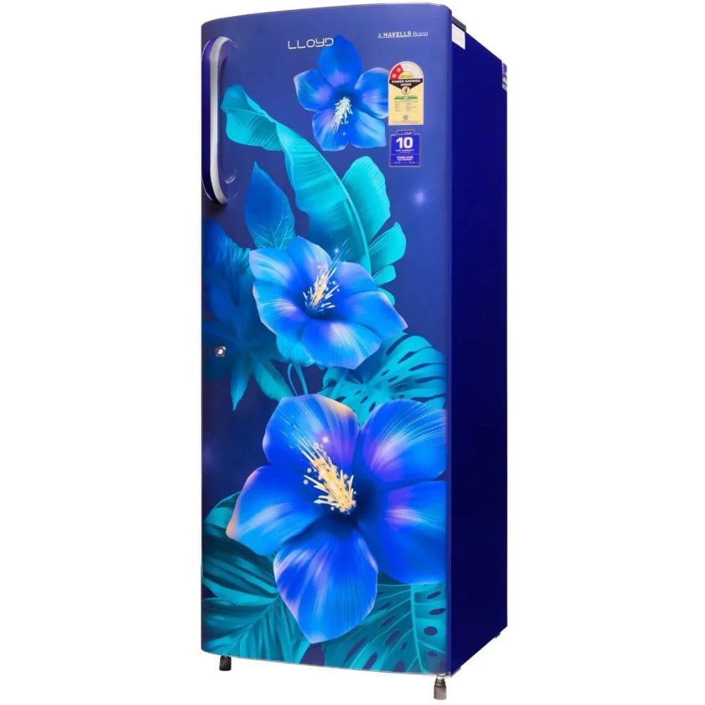 Lloyd 215Ltrs 2 Star, Inverter Direct Cool, Single Door Refrigerator (GLDC242GTBT2JC)