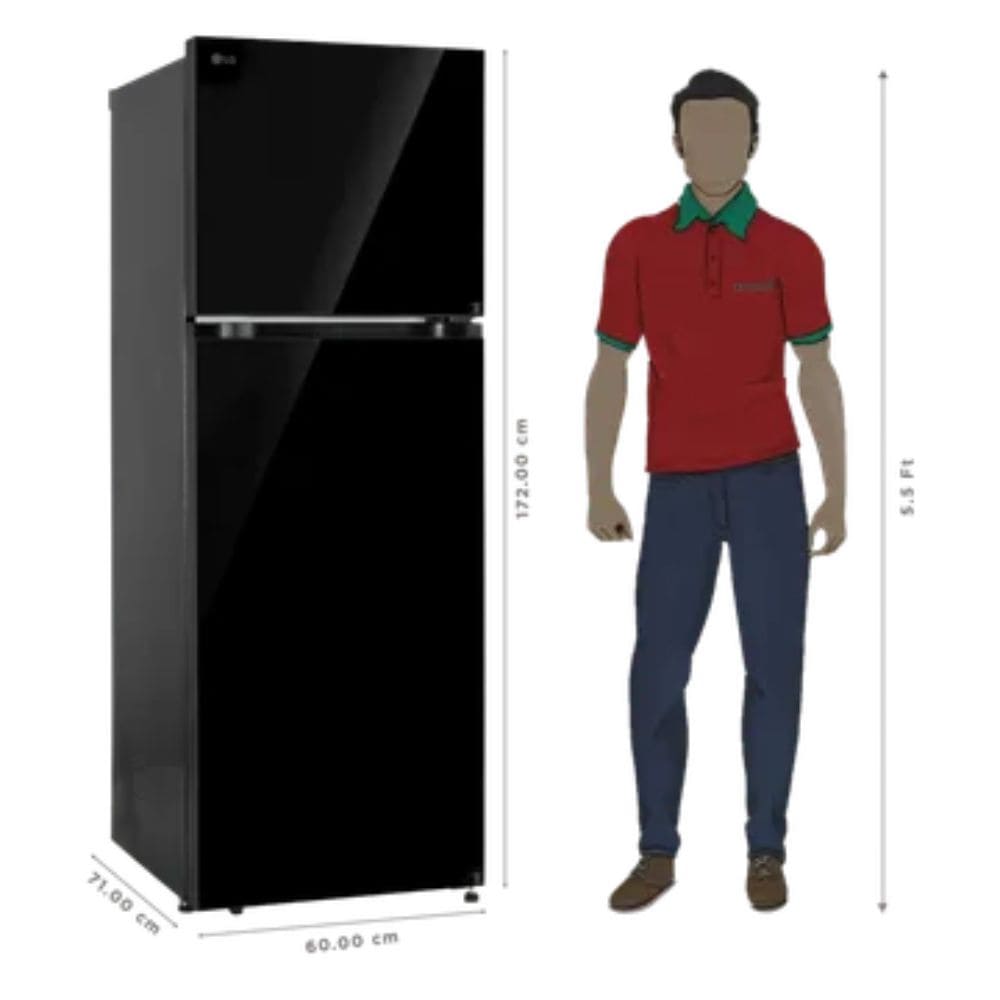 LG 343 Ltrs, 2 Star Frost Free Double Door Refrigerator (GLT3426SNBM,Black Mirror)