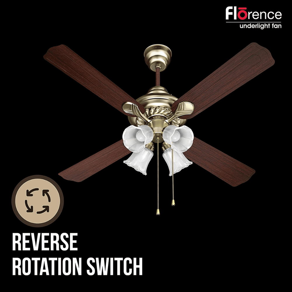Havells Florence, 1200mm 4 Blade Ceiling Fan