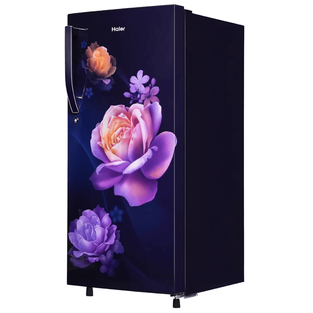 Haier 185 Ltrs 1 Star, Inverter Direct Cool Single Door Refrigerator (HRD-2061SMN-N, Marine Purple)