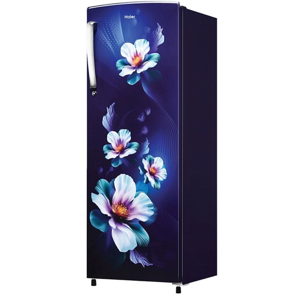 Haier 235 Ltrs 2 Star, Inverter Direct Cool, Single Door Refrigerator (HRD-2562CMK-N)