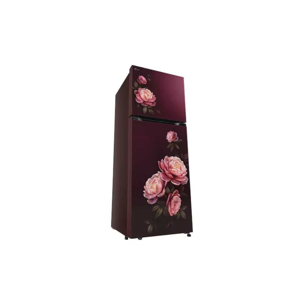 LG 251 Ltrs, 1 Star Frost Free Double Door Refrigerator (GLT2516WWRG, Wine Glory)