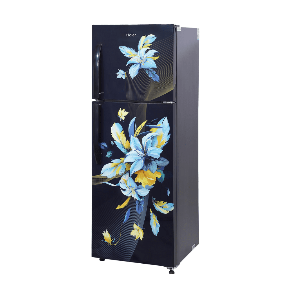 Haier 240 Ltrs 2 Star Inverter Frost Free Double Door Refrigerator (HRF-2902CKO-P, Black)