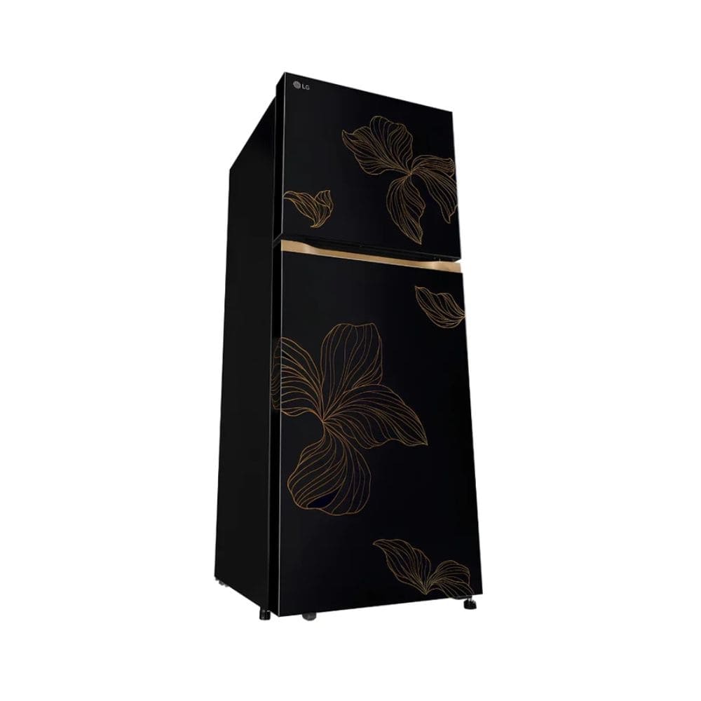 LG 225 Ltrs, 1 Star Frost Free Double Door Refrigerator (GLT2216WYRO.AROZEBN, Radiant Onyx)