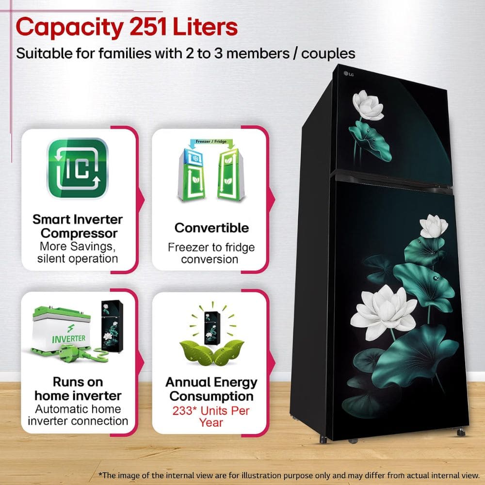 LG 251 Ltrs, 1 Star Frost Free Double Door Refrigerator (GLT2526XWEL)