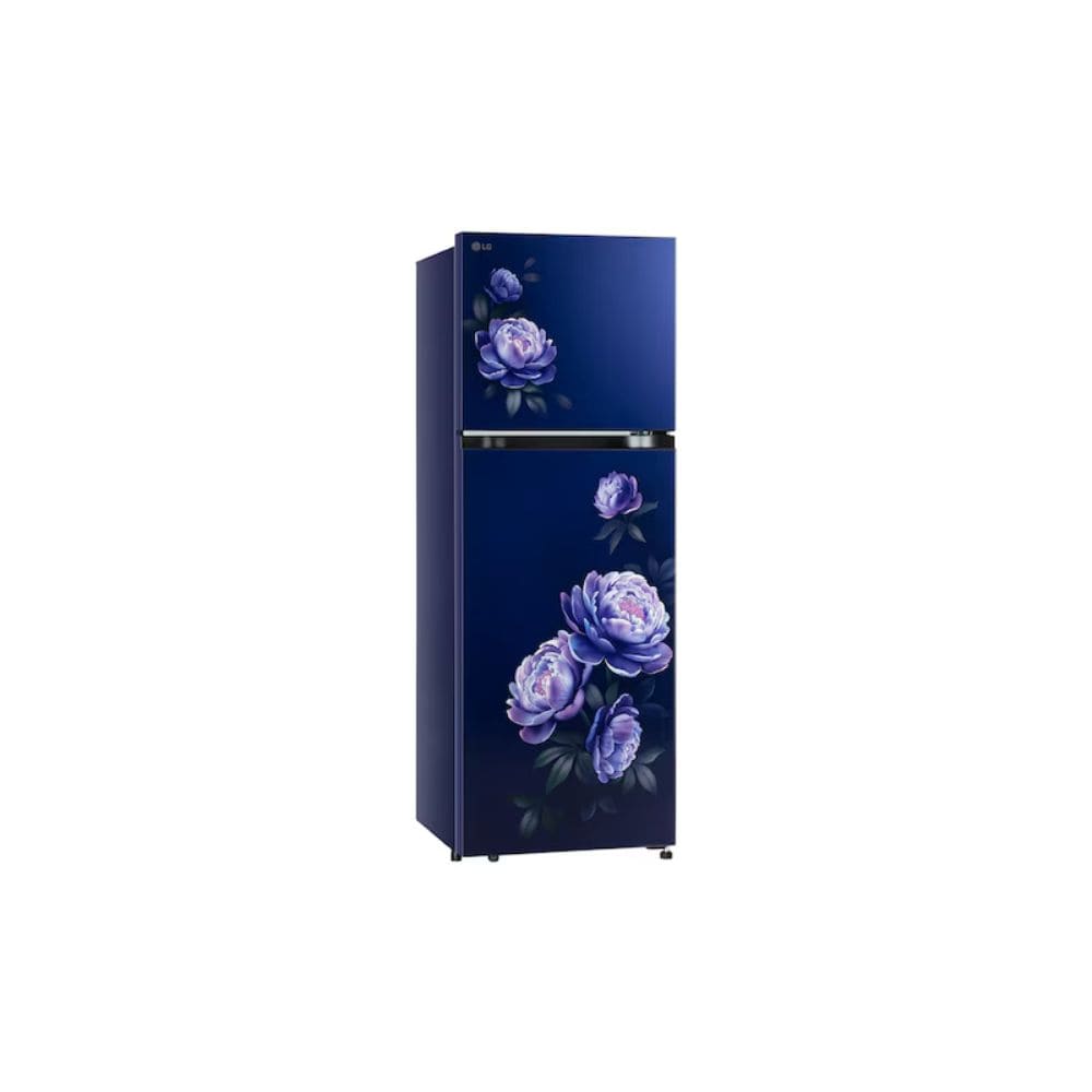 LG 251 Ltrs, 1 Star Frost Free Double Door Refrigerator (GLT2516WWRG, Royal Glory)