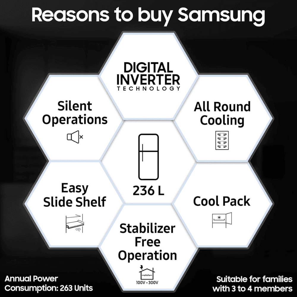 Samsung 236 Ltrs 2 Star, Digital Inverter Frost Free, Double Door Refrigerator (RT28C3032GS)