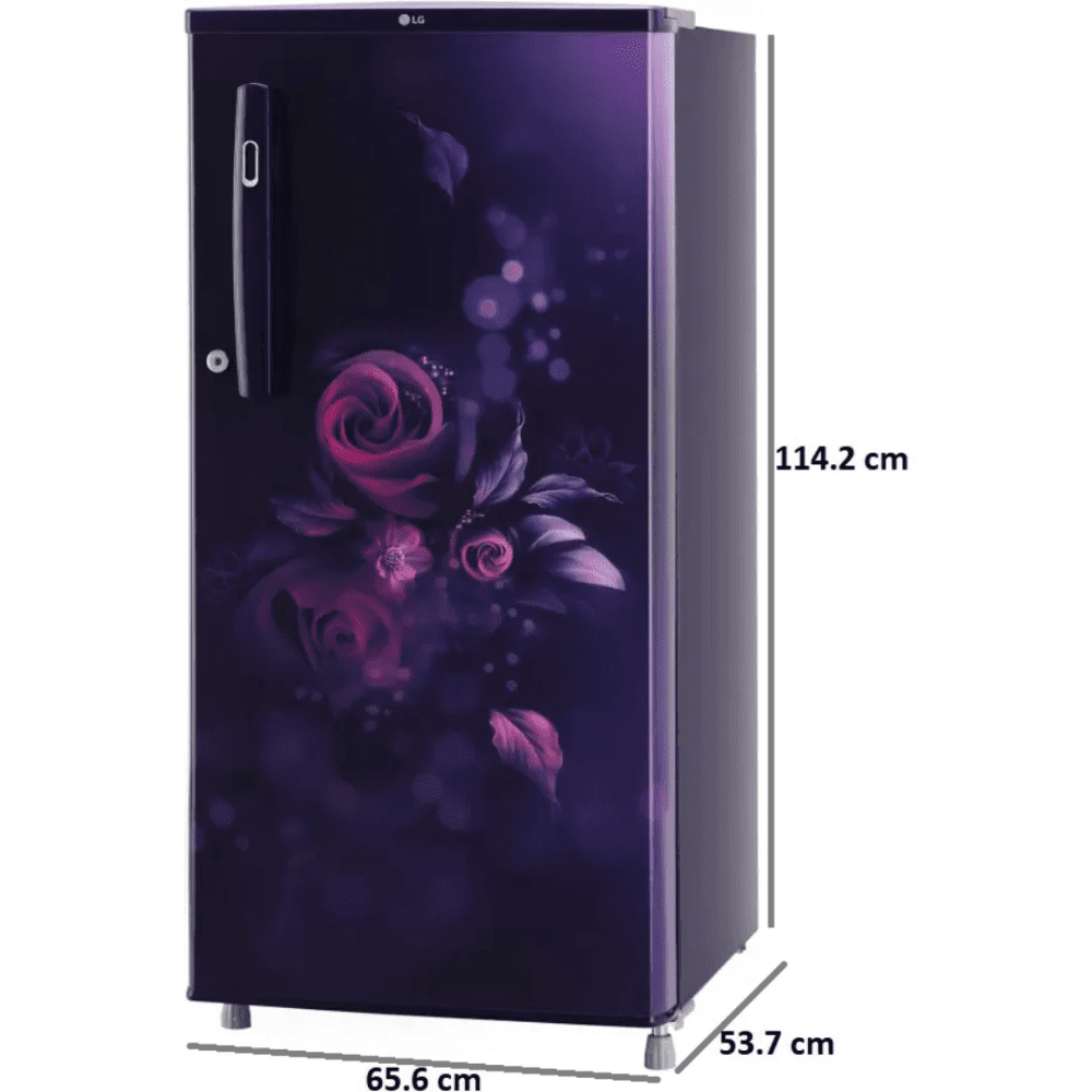 LG 185 Ltrs 2 Star Inverter Direct Cool Single Door Refrigerator (GL-B199OBED,Blue Euphoria)