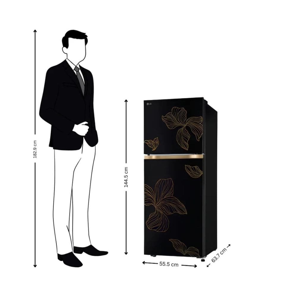 LG 225 Ltrs, 1 Star Frost Free Double Door Refrigerator (GLT2216WYRO.AROZEBN, Radiant Onyx)