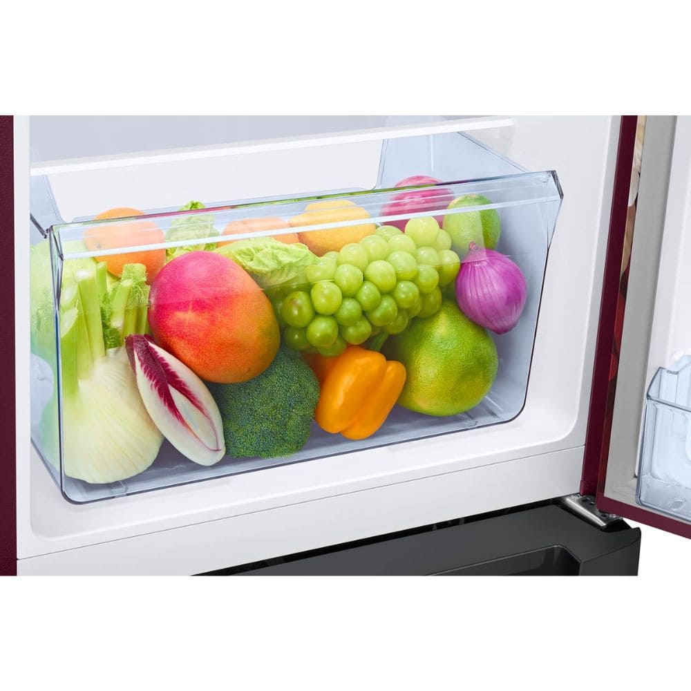 Samsung 189 Ltrs, 5 Star Digital Inverter, Direct Cool Single Door Refrigerator (RR21H2H25BR, Begonia Red)