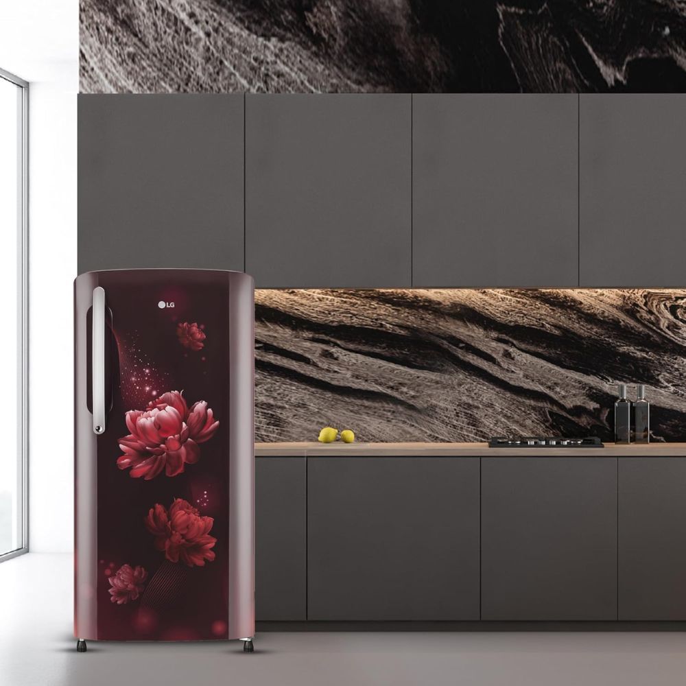 LG 204 Ltrs 3 Star Direct Cool Single Door Refrigerator (GL-B211HSCY, Wine)