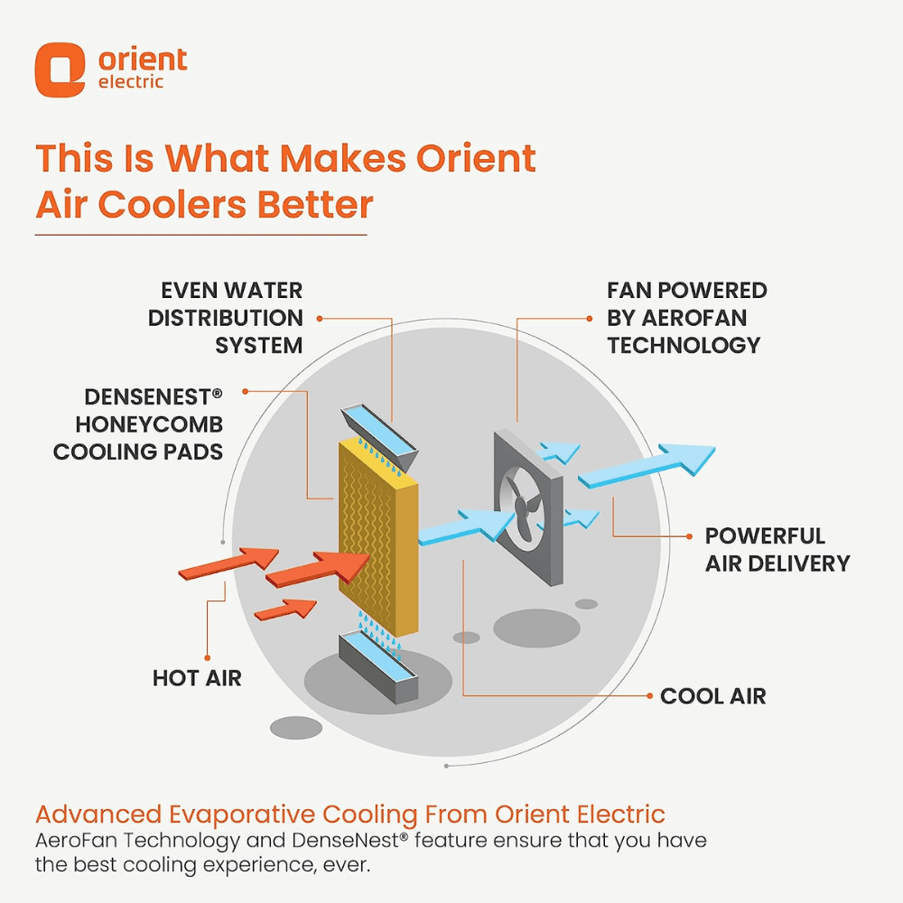 Orient 70 Ltrs Electric Knight Desert Air Cooler (CD7003H, White & Grey)