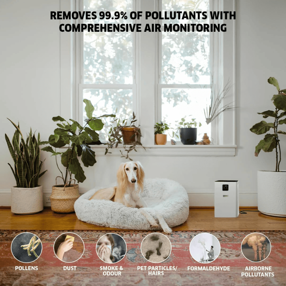 Karcher AF30 Dual H13 HEPA & Activated Carbon Filters Air Purifier with Air Quality Display