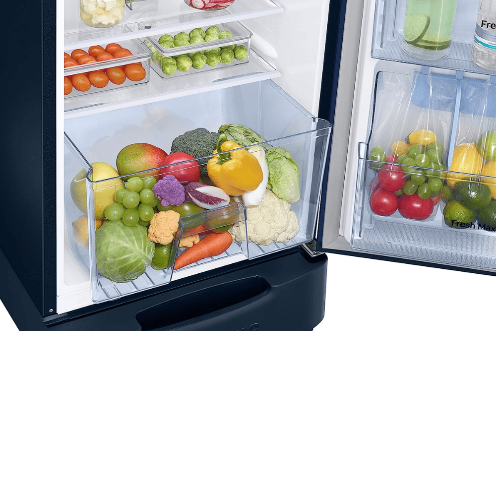 Samsung  RR26C3893CU, 246 Ltrs Direct Cool Single Door Refrigerator, Camellia Blue