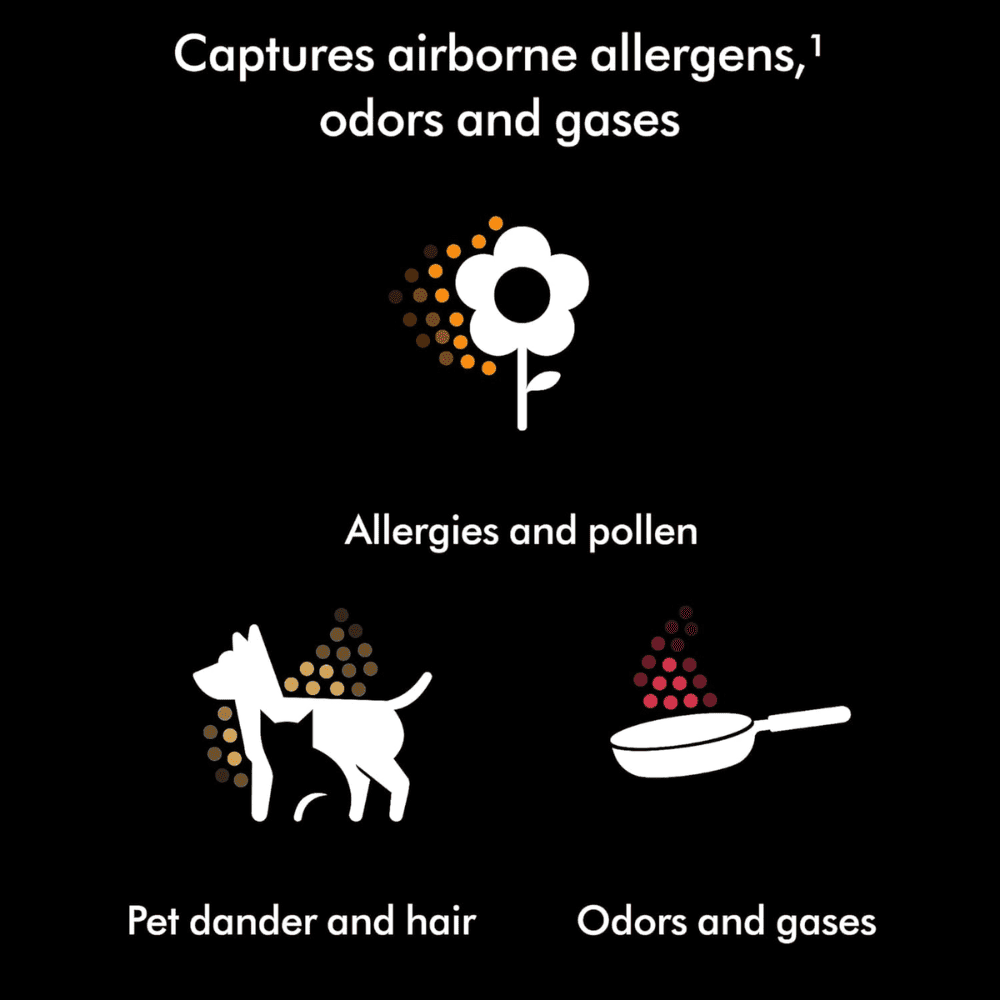 Dyson HushJet Compact, Quiet Air Purifier with App controlled (HJ10 Black & Teal)