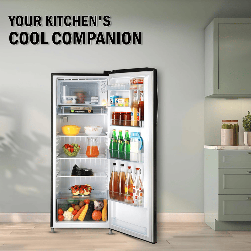 LG 261 Ltrs 3 Star, Inverter Direct Cool, Single Door Refrigerator (GL-B281BESX)