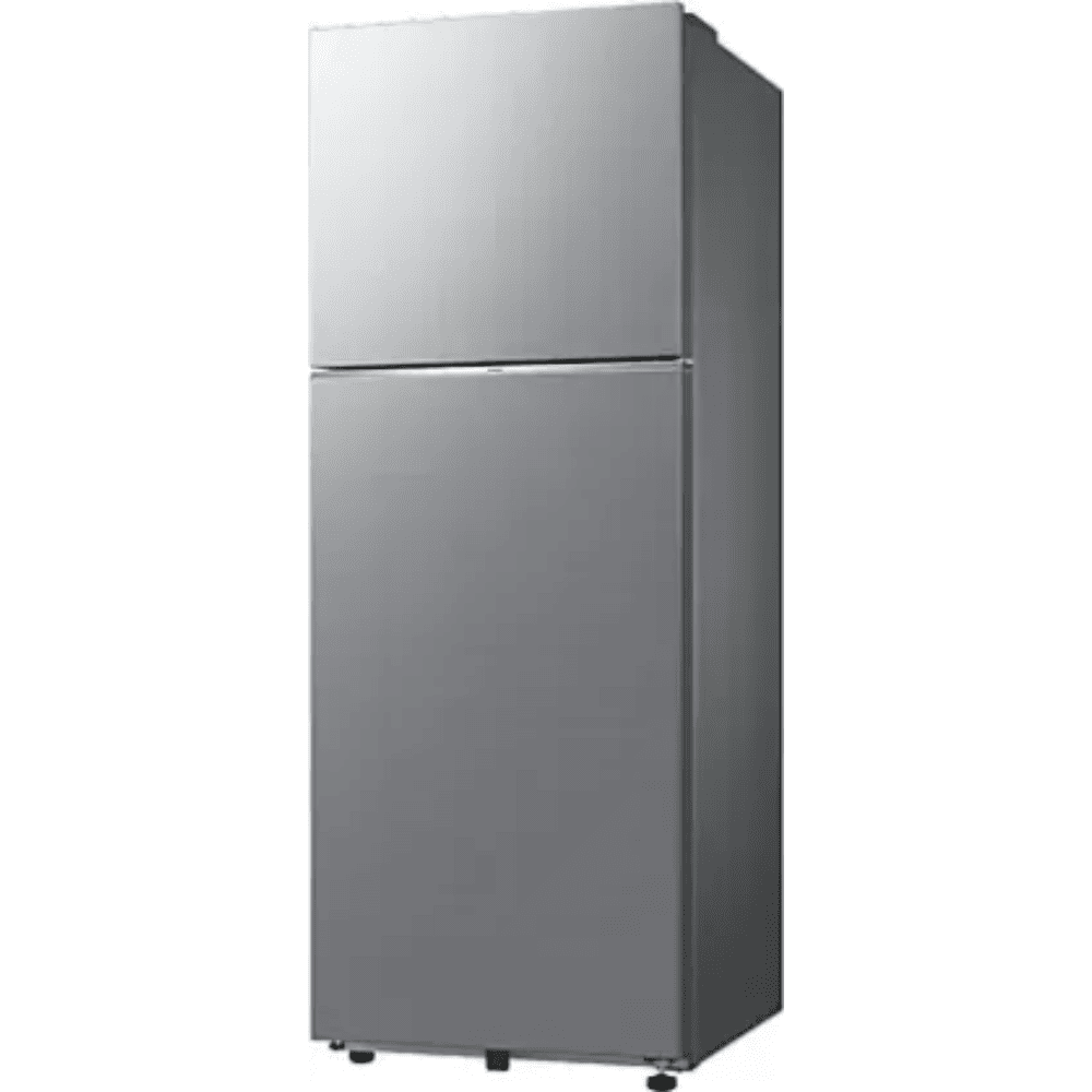 Samsung 330 Ltrs 2 Star Frost Free Double Door Refrigerator (RT34DG5A2BS8)