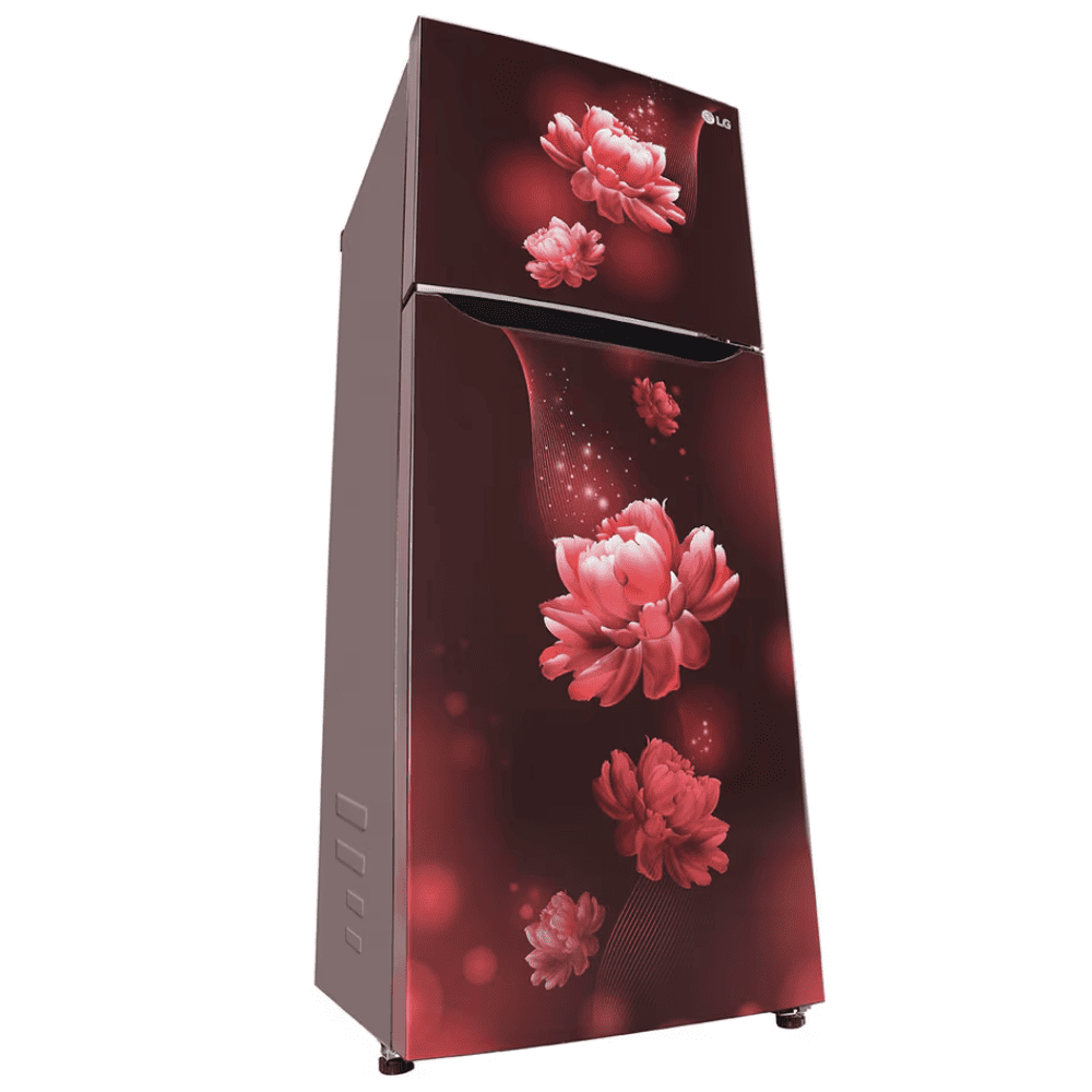 LG 242 Ltrs 2 Star, Inverter Frost Free, Double Door Refrigerator (GL-N292BSCY)
