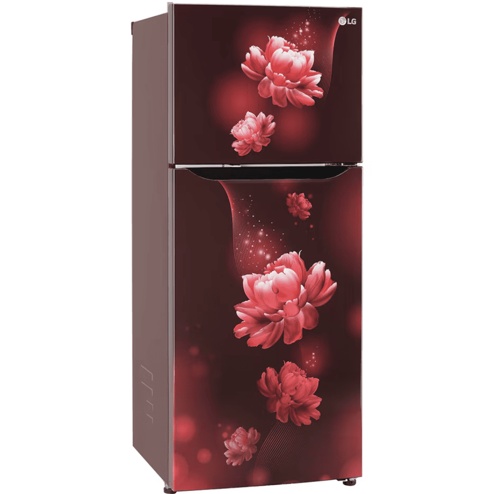LG 242 Ltrs 2 Star, Inverter Frost Free, Double Door Refrigerator (GL-N292BSCY)