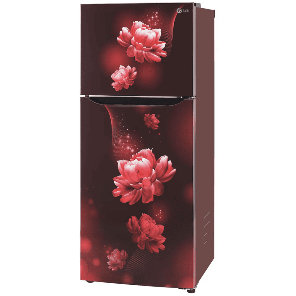 LG 242 Ltrs 2 Star, Inverter Frost Free, Double Door Refrigerator (GL-N292BSCY)
