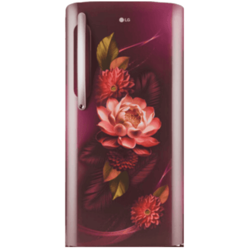 LG 224 Ltrs 3 Star, Inverter Direct Cool, Single Door Refrigerator (GL-D241ARWD)