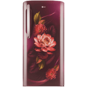 LG 224 Ltrs 3 Star, Inverter Direct Cool, Single Door Refrigerator (GL-D241ARWD)